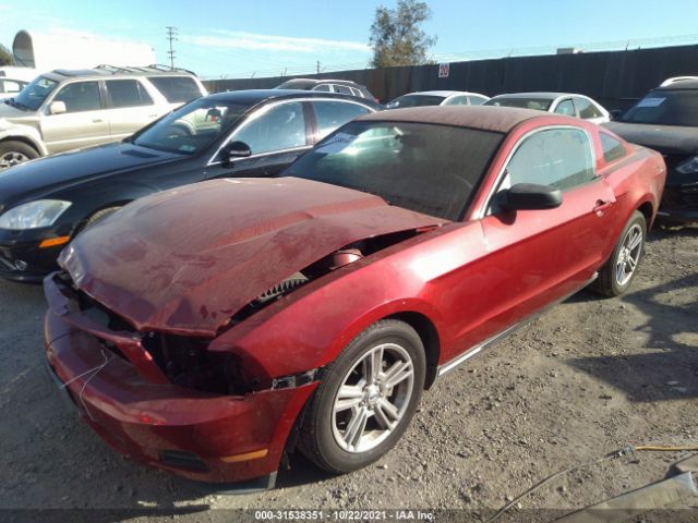 Photo 1 VIN: 1ZVBP8AN8A5155278 - FORD MUSTANG 