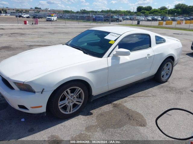 Photo 1 VIN: 1ZVBP8AN8A5158603 - FORD MUSTANG 