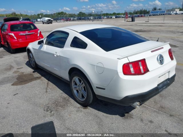 Photo 2 VIN: 1ZVBP8AN8A5158603 - FORD MUSTANG 