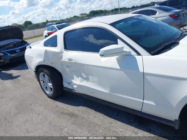 Photo 5 VIN: 1ZVBP8AN8A5158603 - FORD MUSTANG 