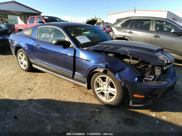 Photo 0 VIN: 1ZVBP8AN8A5179757 - FORD MUSTANG 