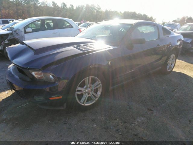 Photo 1 VIN: 1ZVBP8AN8A5179757 - FORD MUSTANG 