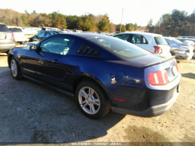 Photo 2 VIN: 1ZVBP8AN8A5179757 - FORD MUSTANG 