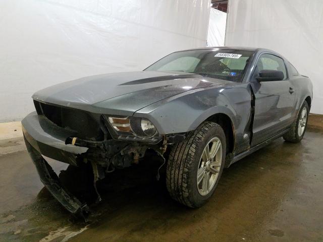 Photo 1 VIN: 1ZVBP8AN8A5181718 - FORD MUSTANG 