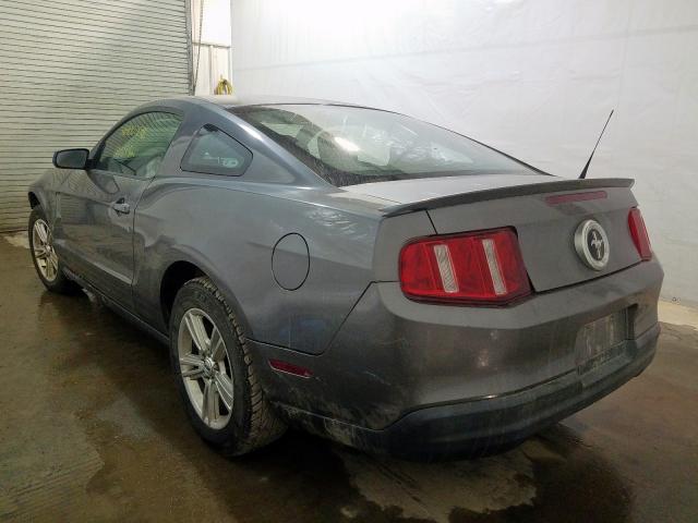 Photo 2 VIN: 1ZVBP8AN8A5181718 - FORD MUSTANG 