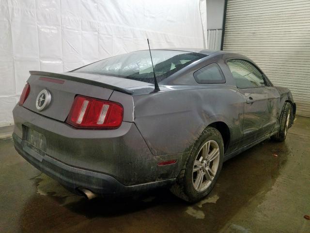 Photo 3 VIN: 1ZVBP8AN8A5181718 - FORD MUSTANG 