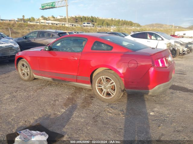 Photo 2 VIN: 1ZVBP8AN9A5107319 - FORD MUSTANG 