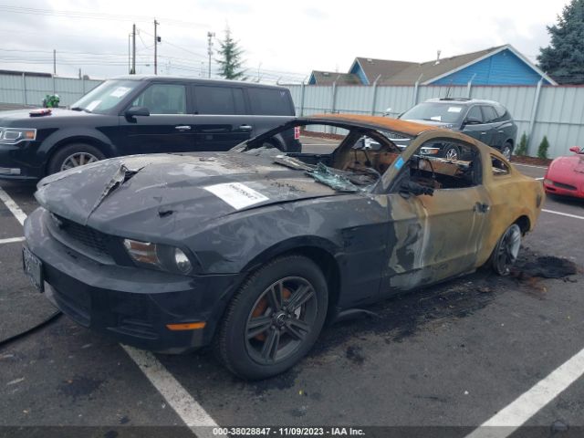 Photo 1 VIN: 1ZVBP8AN9A5126260 - FORD MUSTANG 