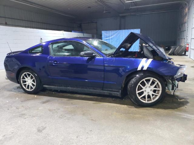 Photo 3 VIN: 1ZVBP8AN9A5126548 - FORD MUSTANG 