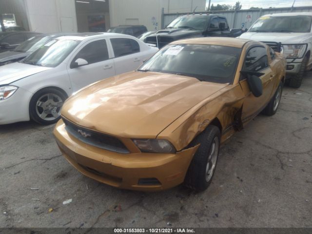 Photo 1 VIN: 1ZVBP8AN9A5133354 - FORD MUSTANG 