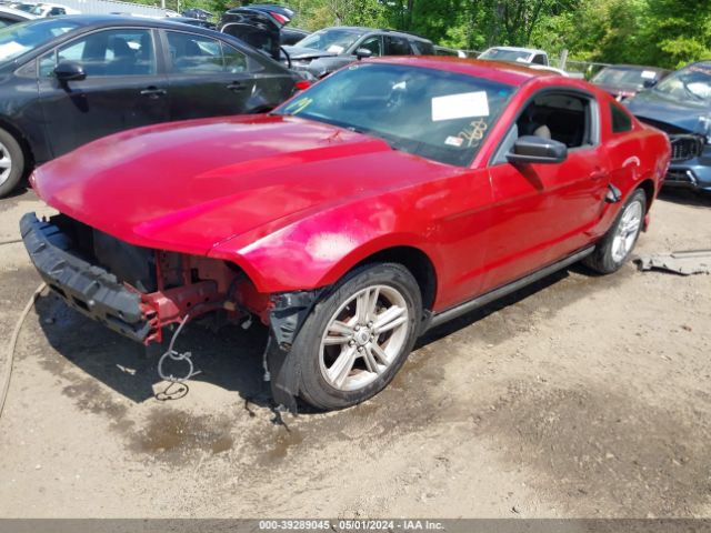 Photo 1 VIN: 1ZVBP8AN9A5139610 - FORD MUSTANG 