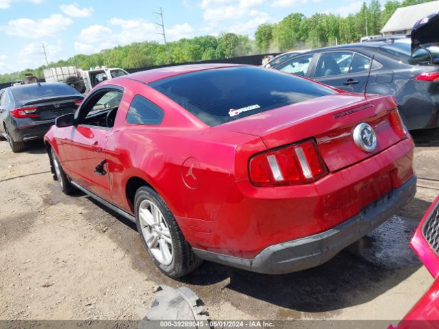 Photo 2 VIN: 1ZVBP8AN9A5139610 - FORD MUSTANG 