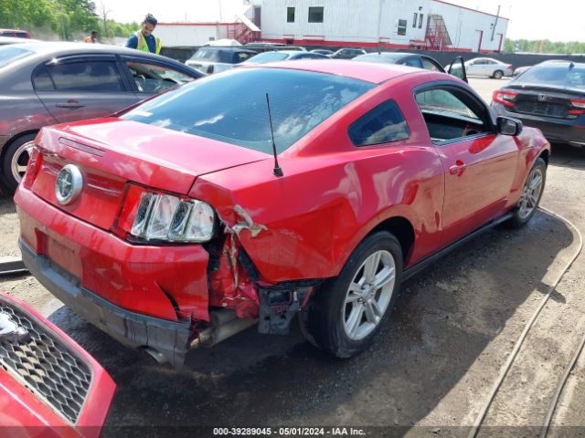 Photo 3 VIN: 1ZVBP8AN9A5139610 - FORD MUSTANG 