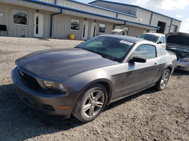 Photo 1 VIN: 1ZVBP8AN9A5160201 - FORD MUSTANG 