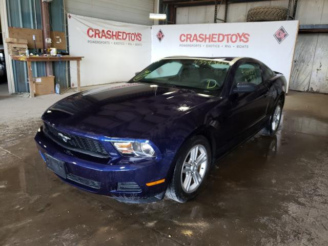 Photo 1 VIN: 1ZVBP8AN9A5164412 - FORD MUSTANG 