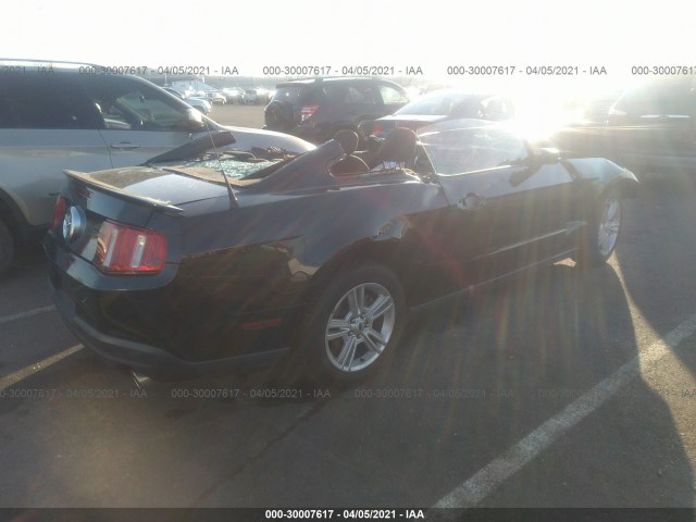 Photo 3 VIN: 1ZVBP8AN9A5165804 - FORD MUSTANG 