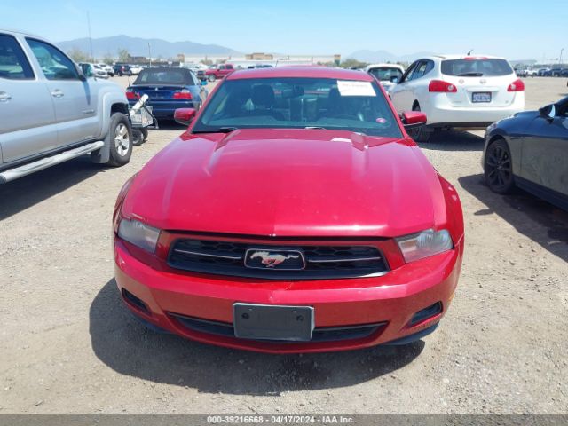 Photo 5 VIN: 1ZVBP8AN9A5181632 - FORD MUSTANG 