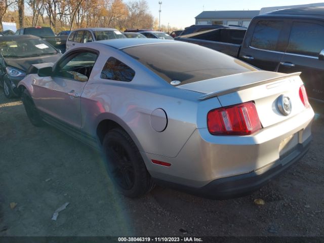 Photo 2 VIN: 1ZVBP8ANXA5137686 - FORD MUSTANG 