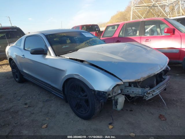 Photo 5 VIN: 1ZVBP8ANXA5137686 - FORD MUSTANG 