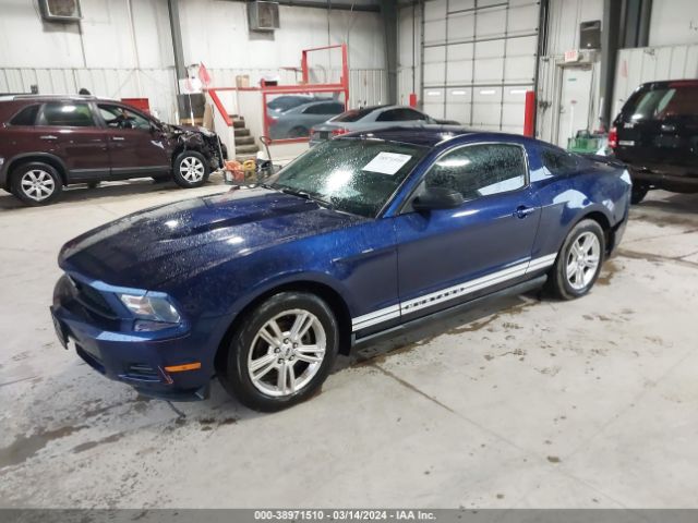 Photo 1 VIN: 1ZVBP8ANXA5145237 - FORD MUSTANG 