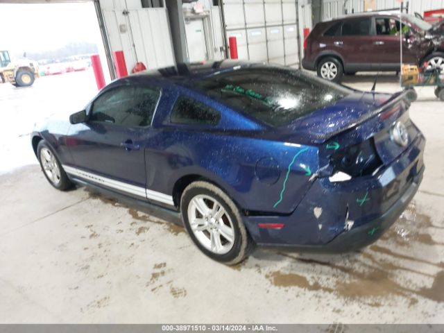 Photo 2 VIN: 1ZVBP8ANXA5145237 - FORD MUSTANG 