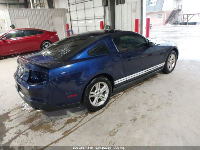 Photo 3 VIN: 1ZVBP8ANXA5145237 - FORD MUSTANG 