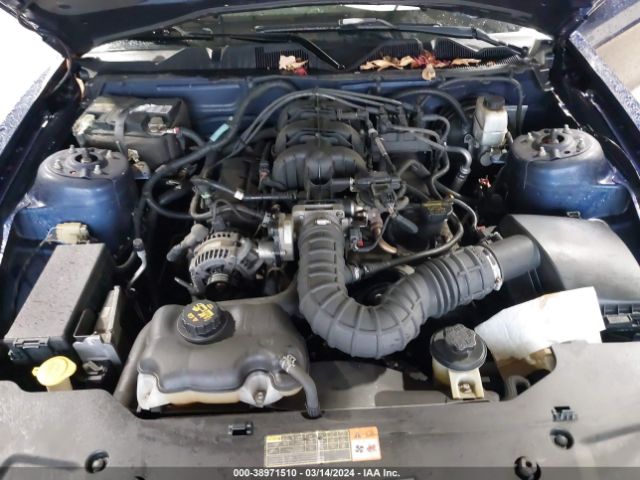 Photo 9 VIN: 1ZVBP8ANXA5145237 - FORD MUSTANG 