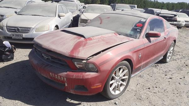 Photo 2 VIN: 1ZVBP8ANXA5149627 - FORD MUSTANG 