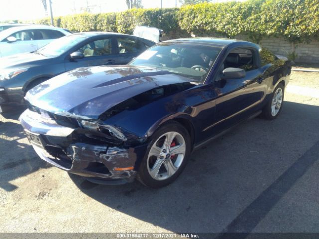 Photo 1 VIN: 1ZVBP8ANXA5157629 - FORD MUSTANG 