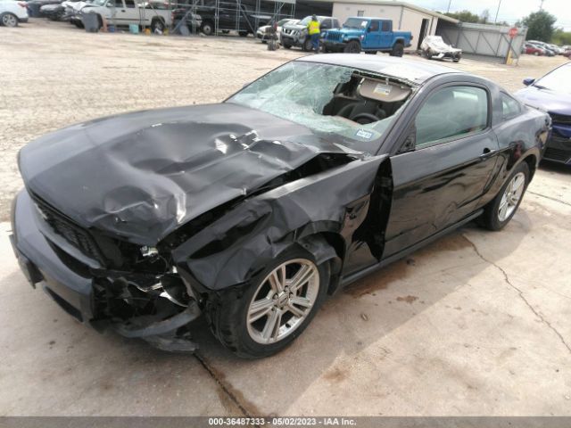 Photo 1 VIN: 1ZVBP8ANXA5160594 - FORD MUSTANG 