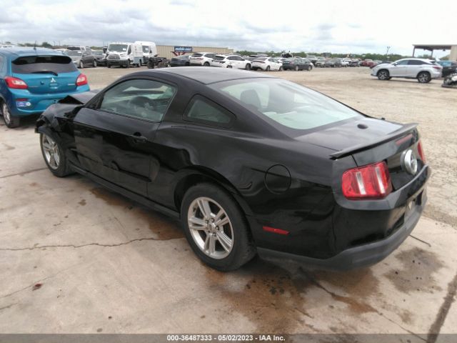 Photo 2 VIN: 1ZVBP8ANXA5160594 - FORD MUSTANG 