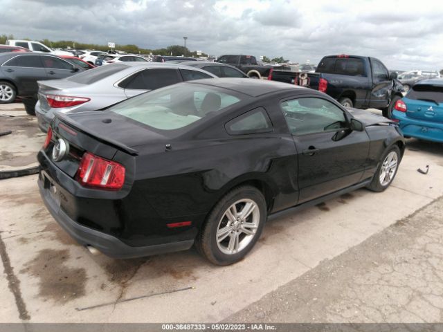 Photo 3 VIN: 1ZVBP8ANXA5160594 - FORD MUSTANG 