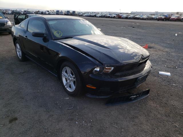 Photo 0 VIN: 1ZVBP8ANXA5165231 - FORD MUSTANG 