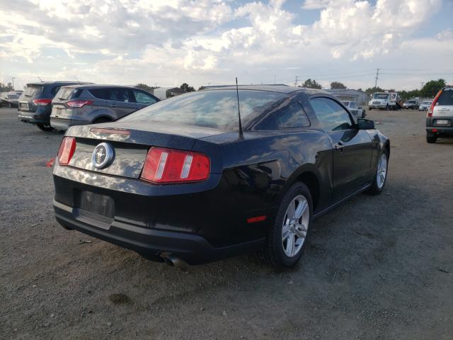 Photo 3 VIN: 1ZVBP8ANXA5165231 - FORD MUSTANG 