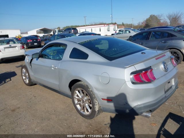 Photo 2 VIN: 1ZVBP8ANXA5170784 - FORD MUSTANG 