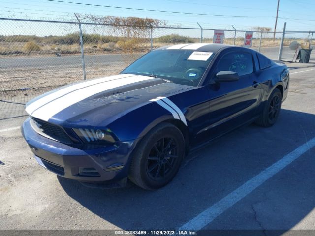 Photo 1 VIN: 1ZVBP8ANXA5170820 - FORD MUSTANG 