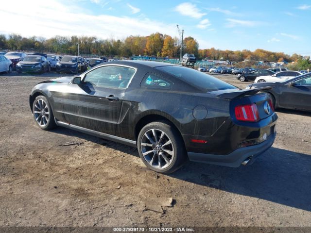 Photo 2 VIN: 1ZVBP8CF0B5158084 - FORD MUSTANG 