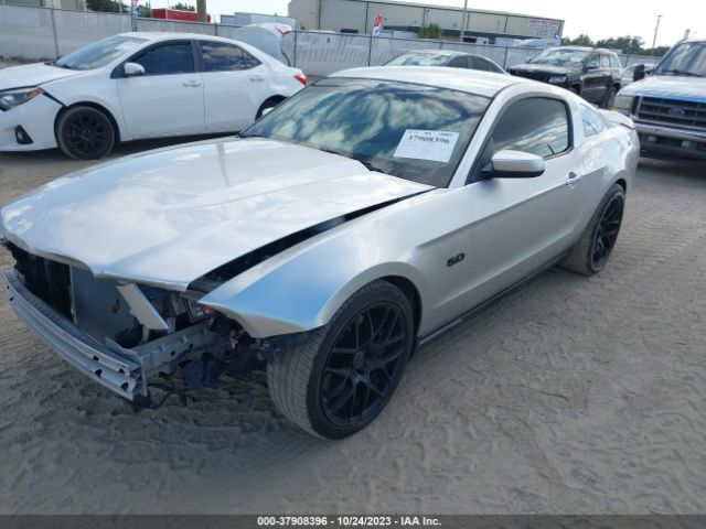 Photo 1 VIN: 1ZVBP8CF0C5242553 - FORD MUSTANG 