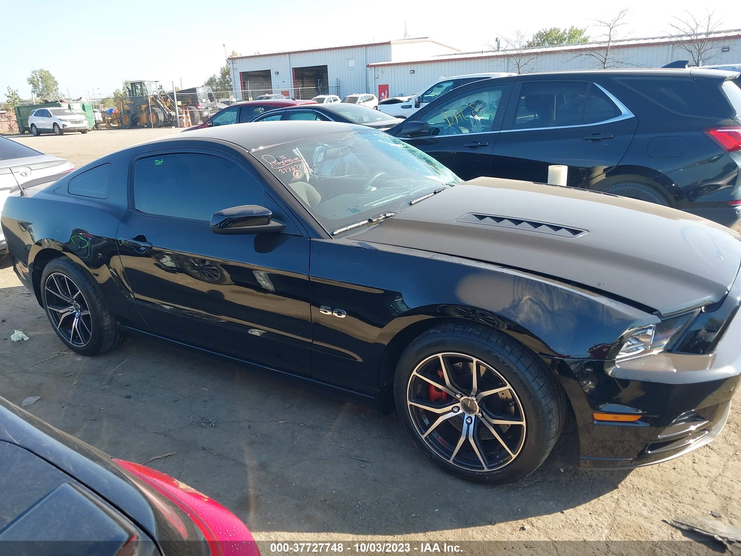 Photo 12 VIN: 1ZVBP8CF0E5256777 - FORD MUSTANG 