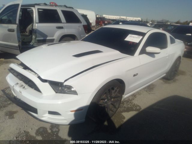 Photo 1 VIN: 1ZVBP8CF0E5333308 - FORD MUSTANG 