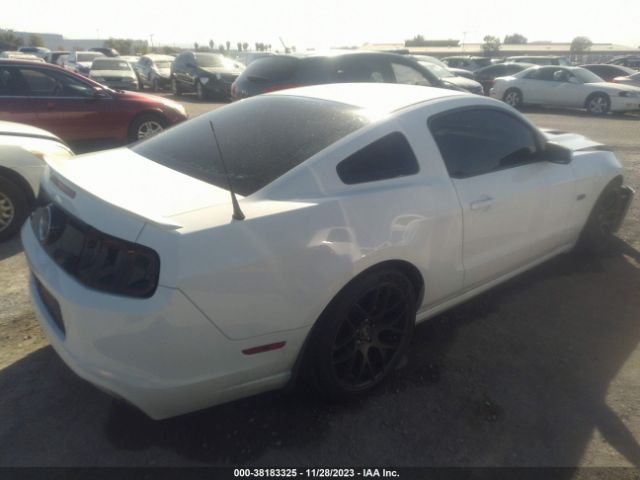 Photo 3 VIN: 1ZVBP8CF0E5333308 - FORD MUSTANG 