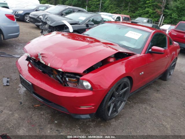 Photo 1 VIN: 1ZVBP8CF1B5103322 - FORD MUSTANG 