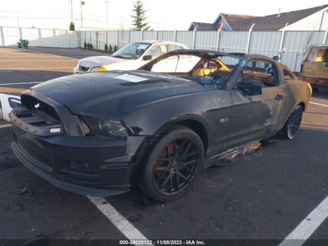 Photo 1 VIN: 1ZVBP8CF1D5213175 - FORD MUSTANG 