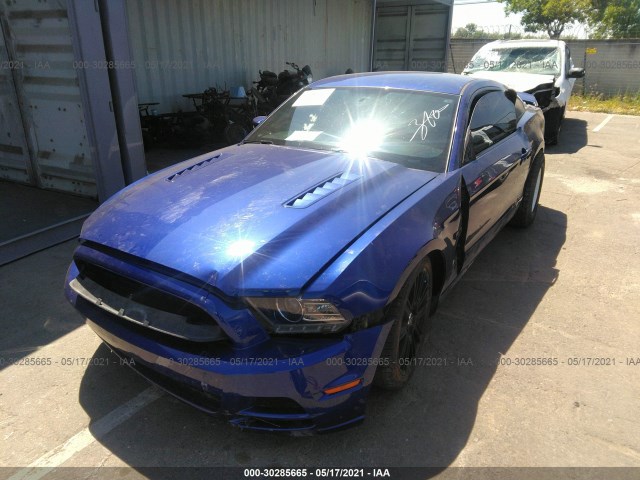 Photo 5 VIN: 1ZVBP8CF1D5219171 - FORD MUSTANG 