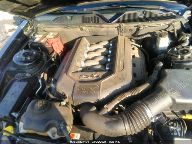 Photo 9 VIN: 1ZVBP8CF1D5252624 - FORD MUSTANG 