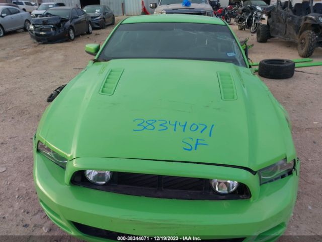 Photo 9 VIN: 1ZVBP8CF1D5258360 - FORD MUSTANG 