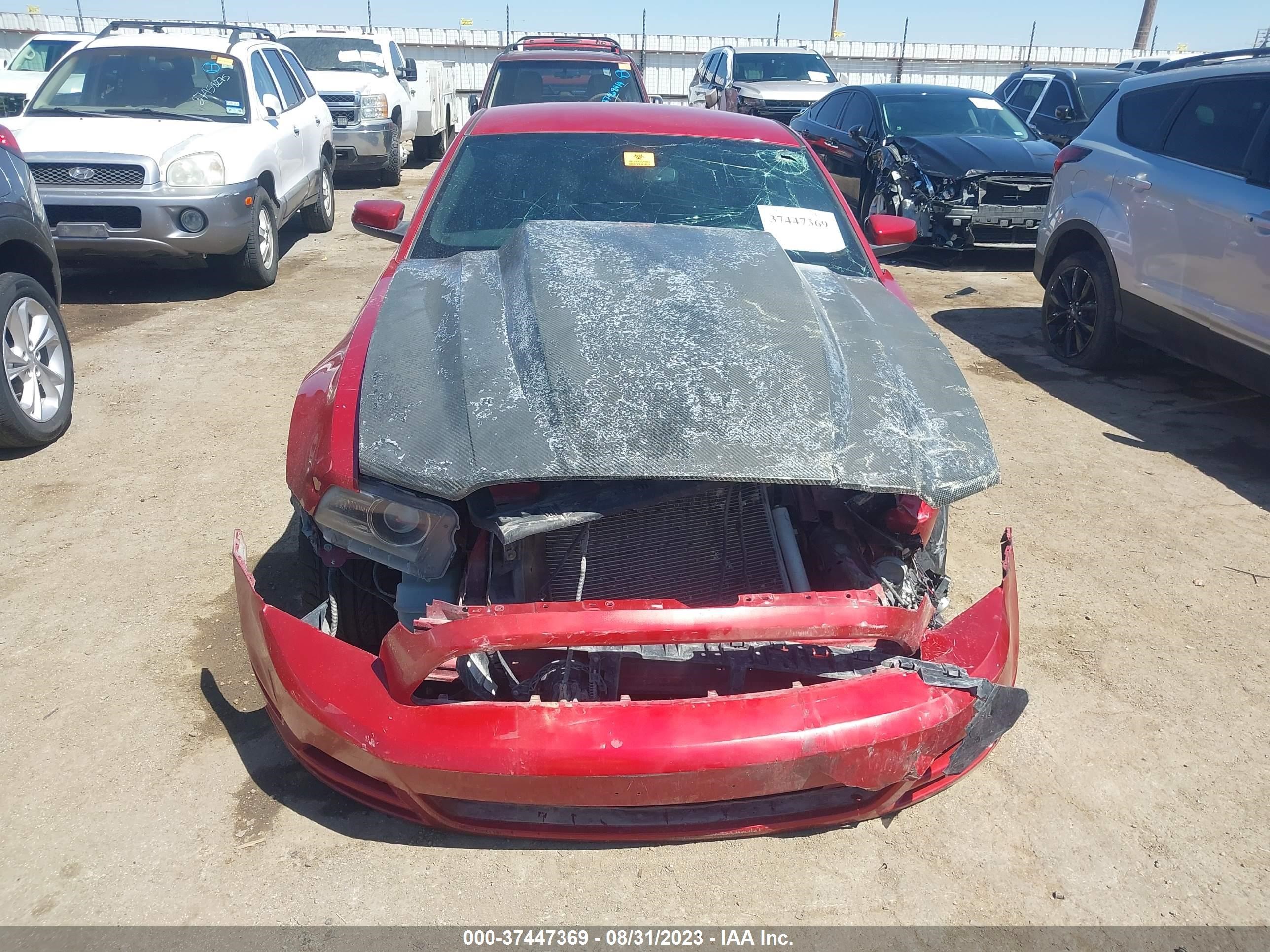 Photo 11 VIN: 1ZVBP8CF2D5269433 - FORD MUSTANG 