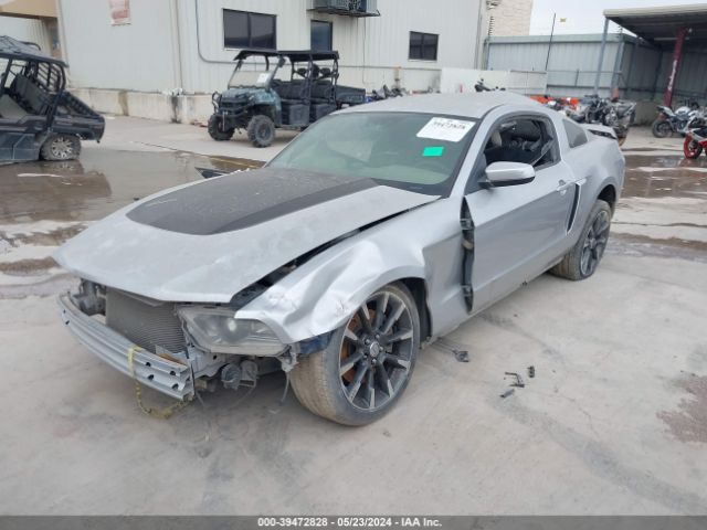 Photo 1 VIN: 1ZVBP8CF3B5161318 - FORD MUSTANG 