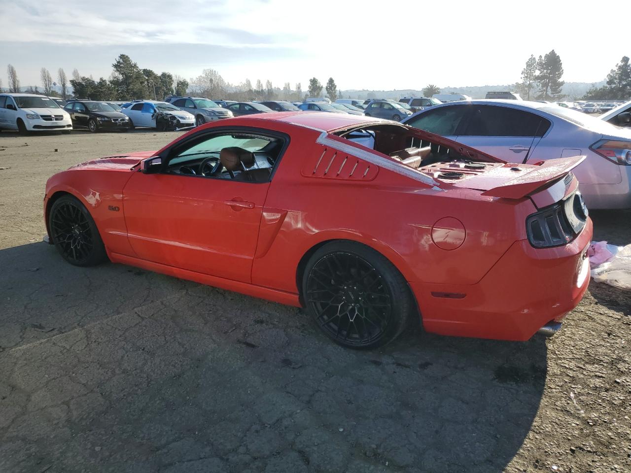 Photo 1 VIN: 1ZVBP8CF3D5255900 - FORD MUSTANG 