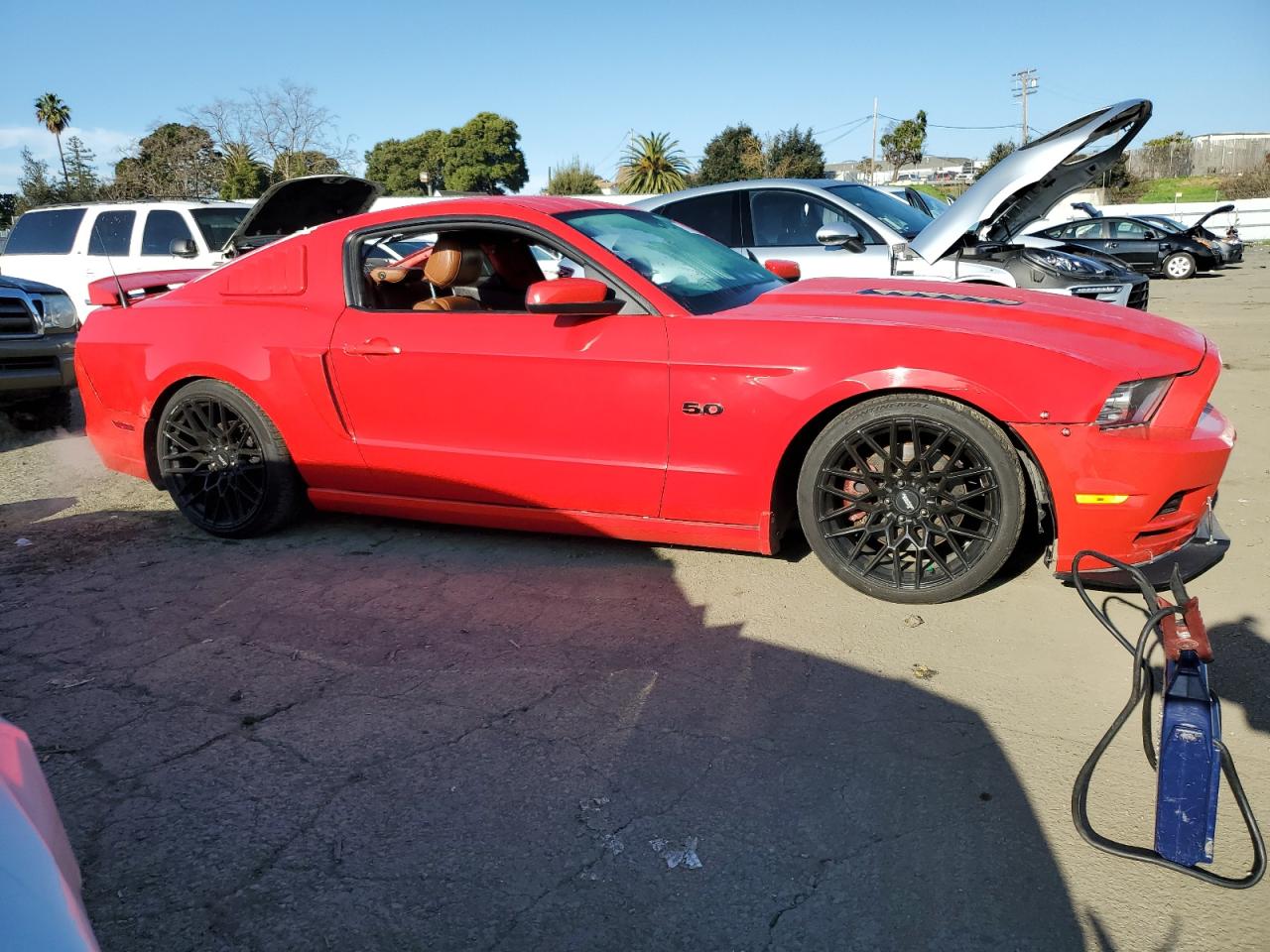 Photo 3 VIN: 1ZVBP8CF3D5255900 - FORD MUSTANG 